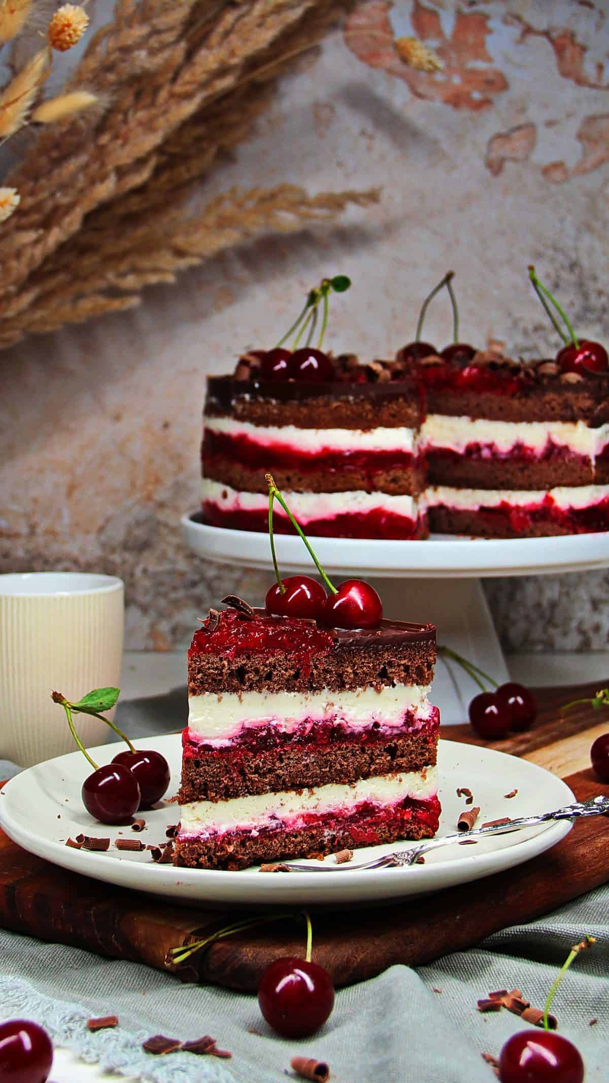 Schoko-Kirschtorte mit Sauerkirschen, Tortenstück auf einem weißen Teller mit frischen Kirschen