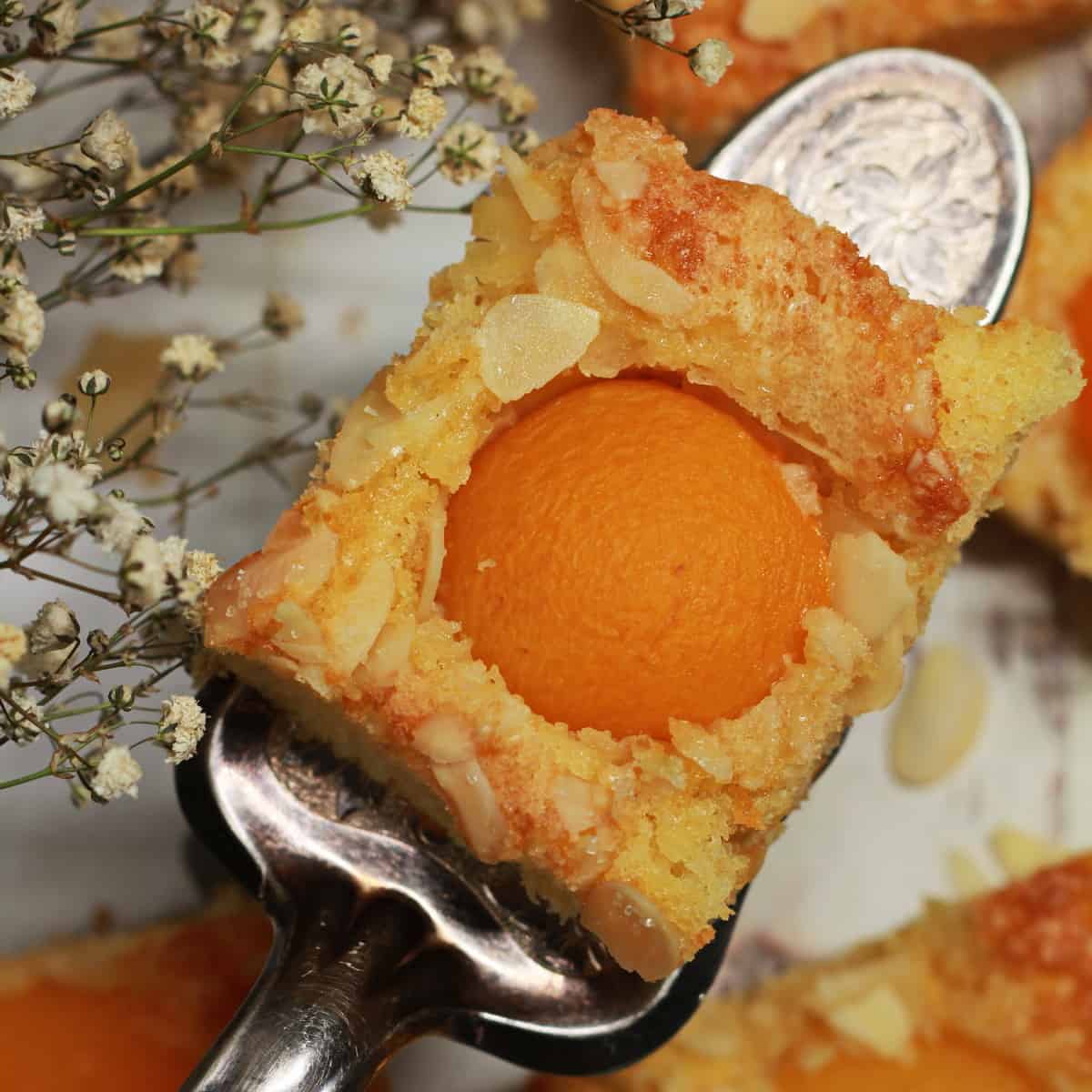 Butterkuchen ohne Hefe mit Aprikosen – Blitzrezept für einen leckeren ...