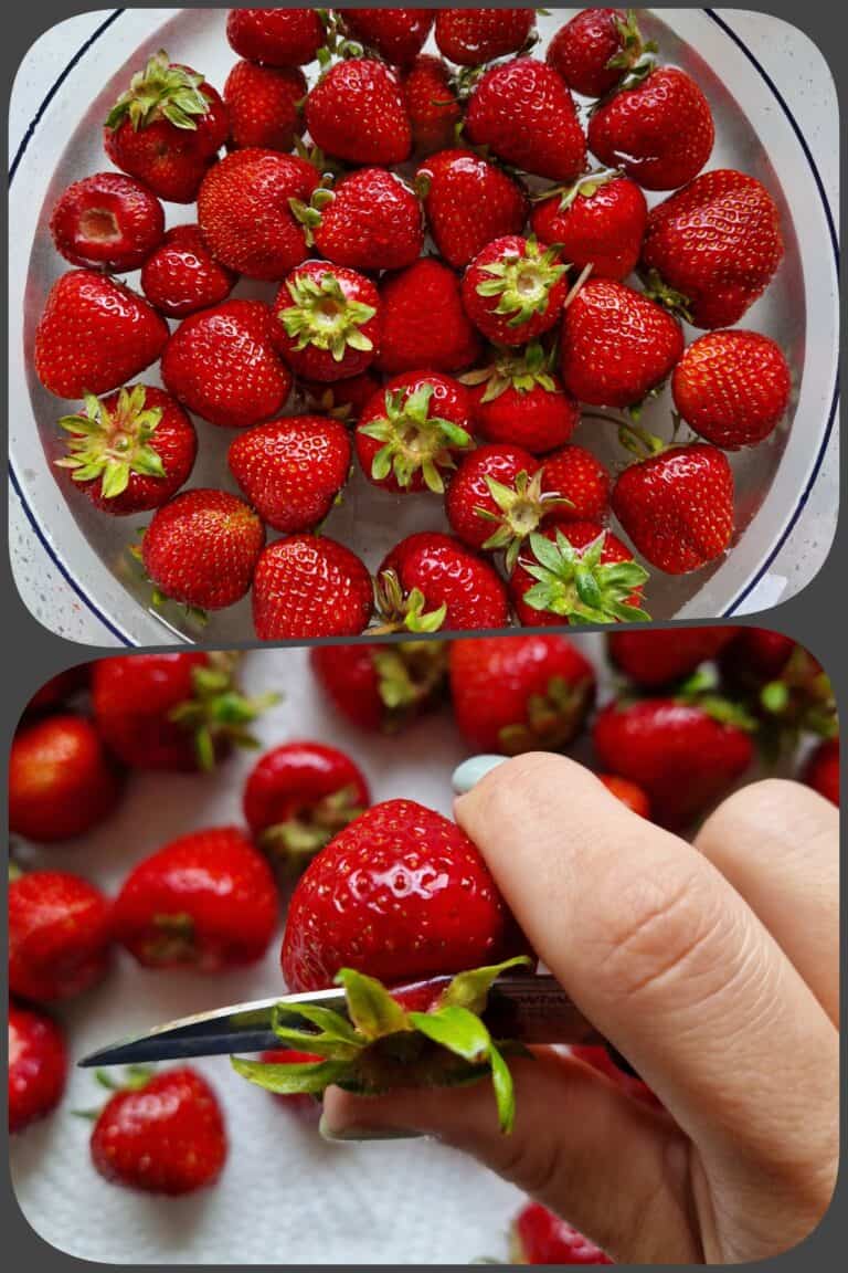 Marmelade mit dem Thermomix® kochen: Von Sauerkirsche bis Erdbeere - so ...