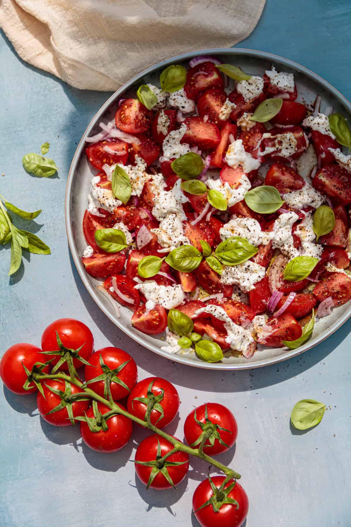 Tomaten-Burrata Salat steht auf einem hellblauen Hintergrund direkt in der Sonne. Daneben liegen frische Tomaten und Basilikumblätter.