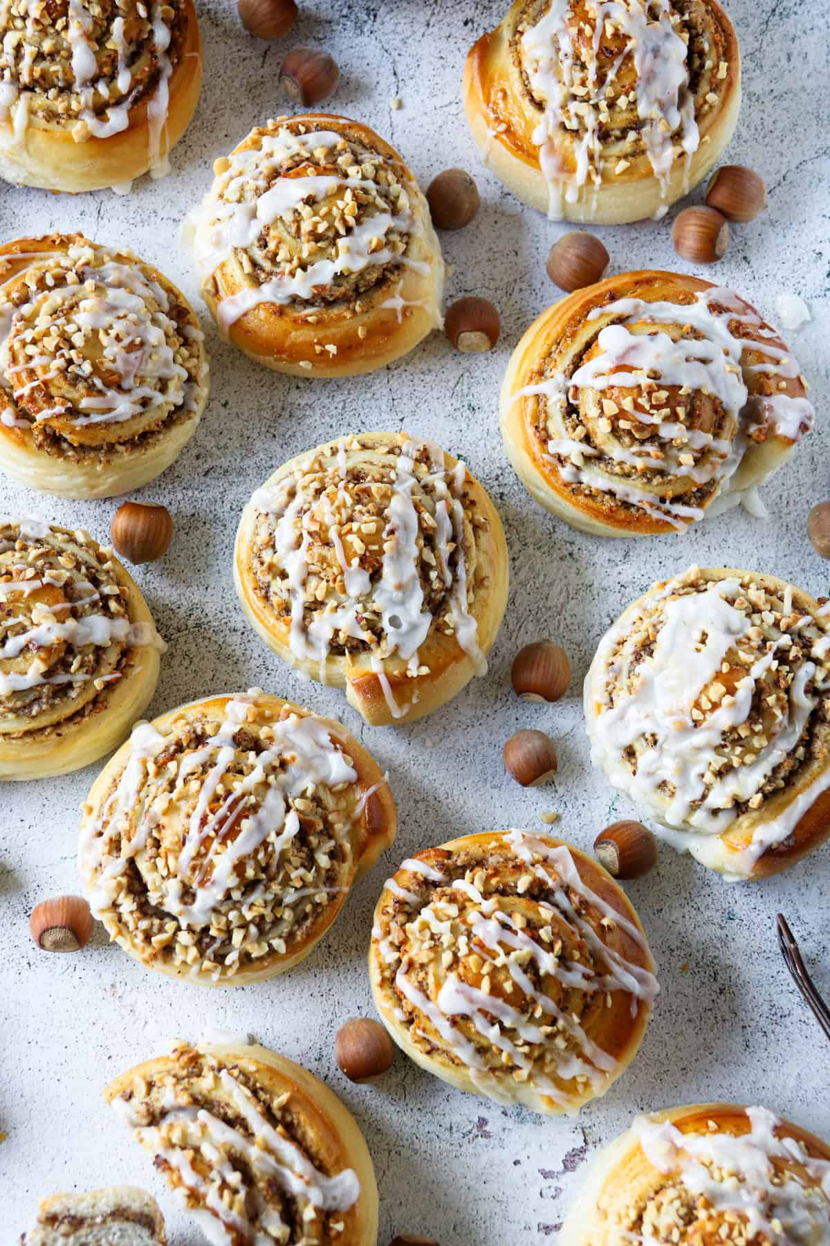 Viele Nuss-Schnecken auf einem grauen Hintergrund, dazwischen liegen Haselnüsse